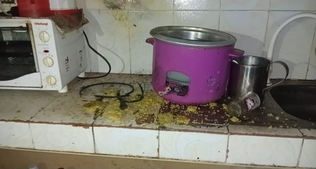 Screenshot_20250515_225343_Gallery