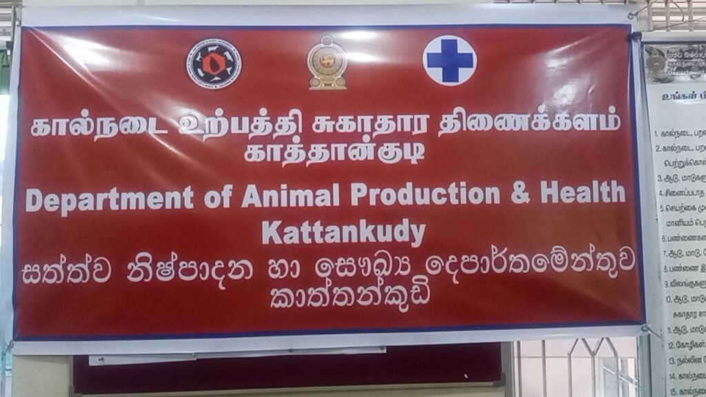 FB_IMG_1750786224863