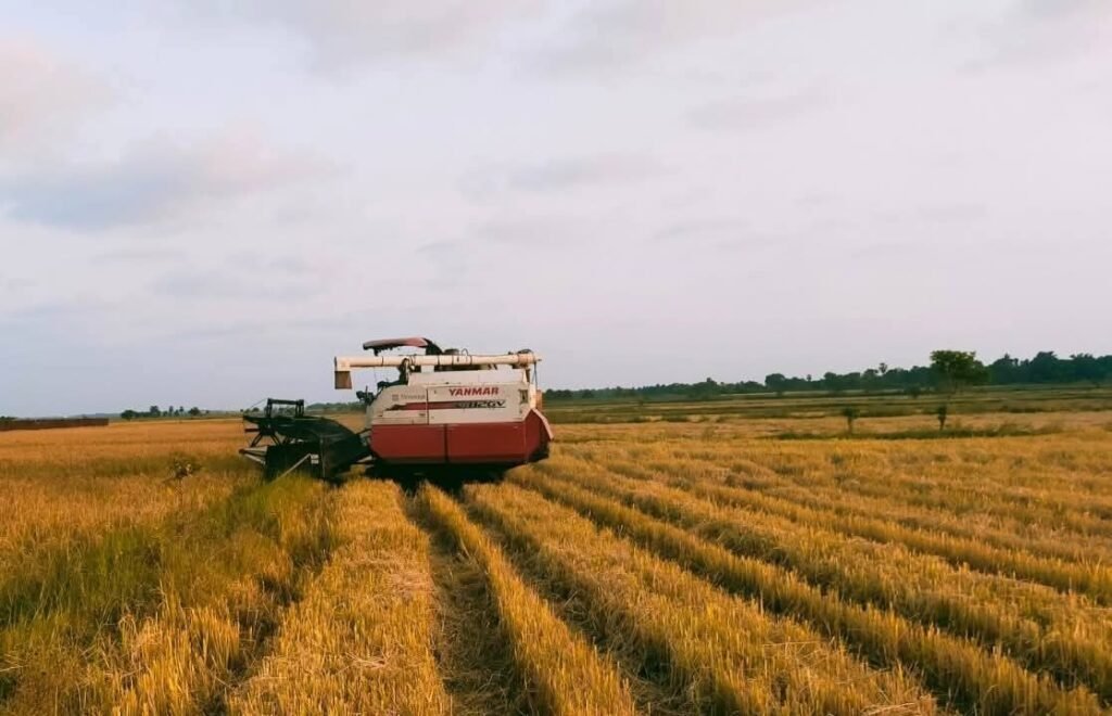 FB_IMG_1752155667519