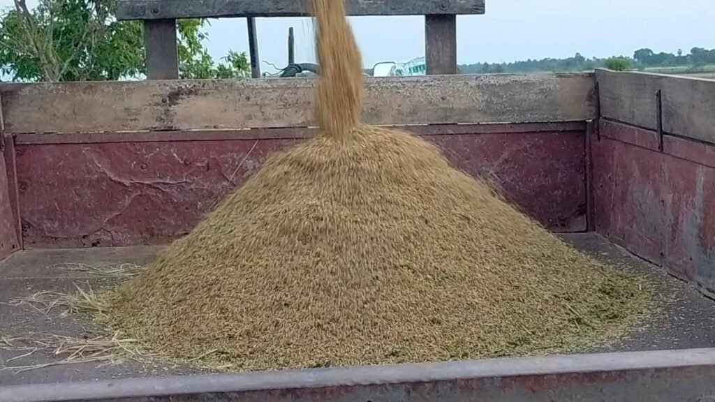 FB_IMG_1752155670280