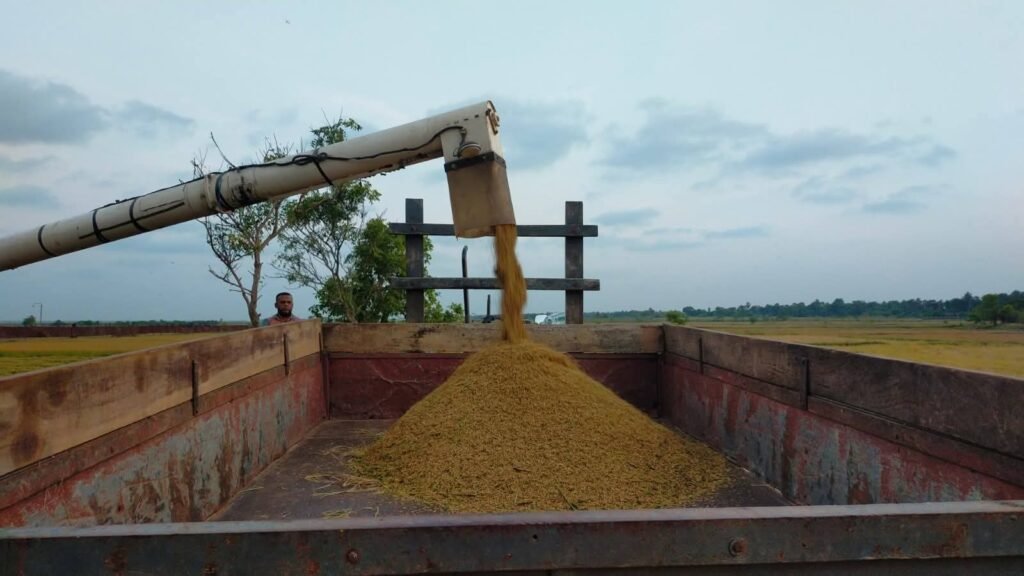 FB_IMG_1752155672533