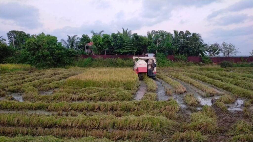 FB_IMG_1752155681475