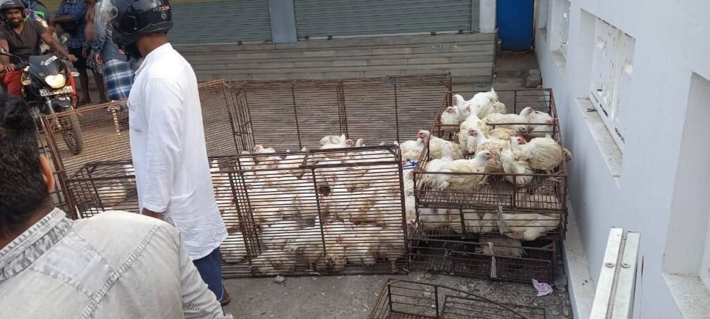 FB_IMG_1756791505783