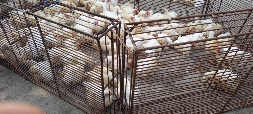 FB_IMG_1756791509011