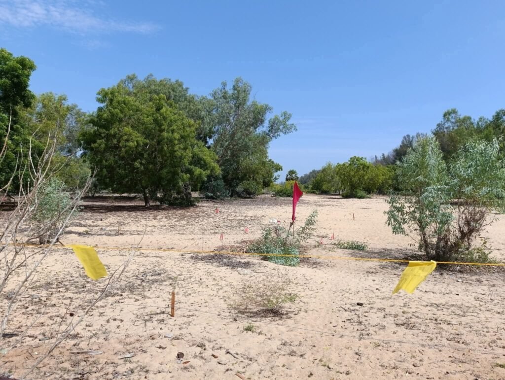 FB_IMG_1757614314815