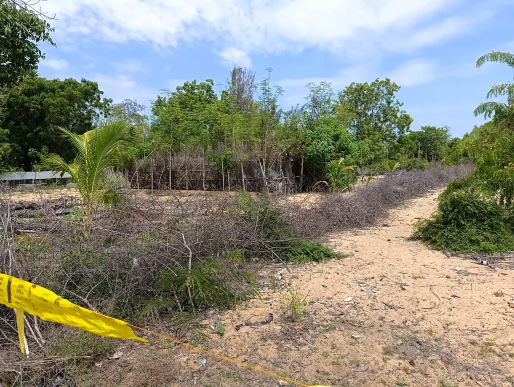 FB_IMG_1757614442845