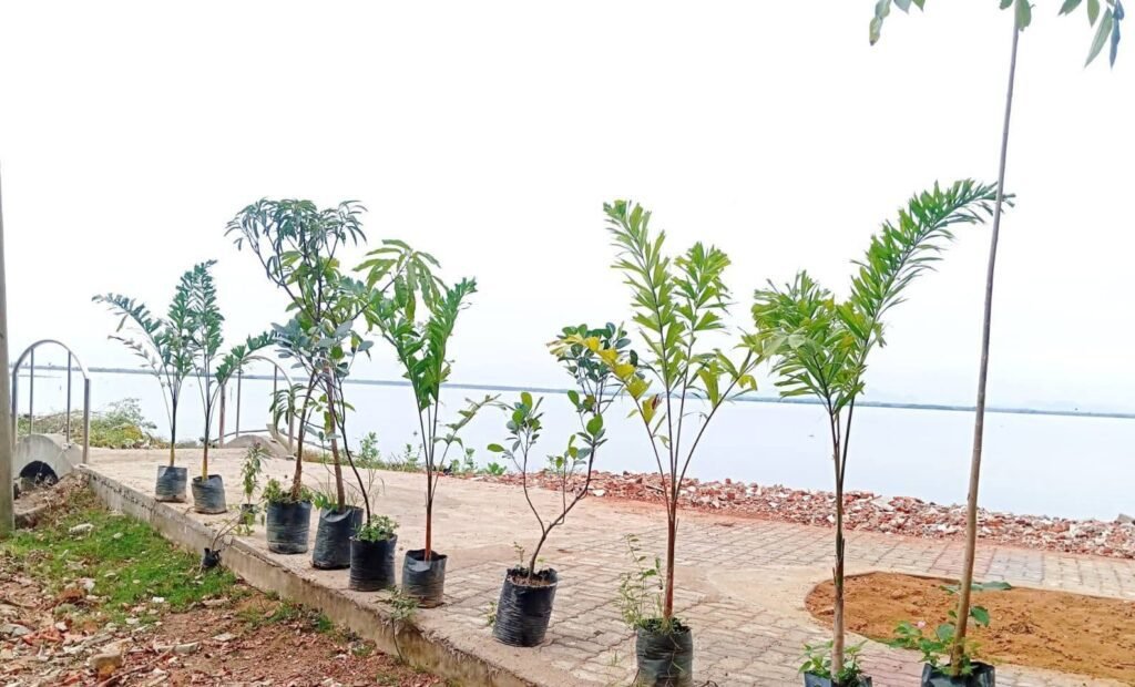 FB_IMG_1758039121670