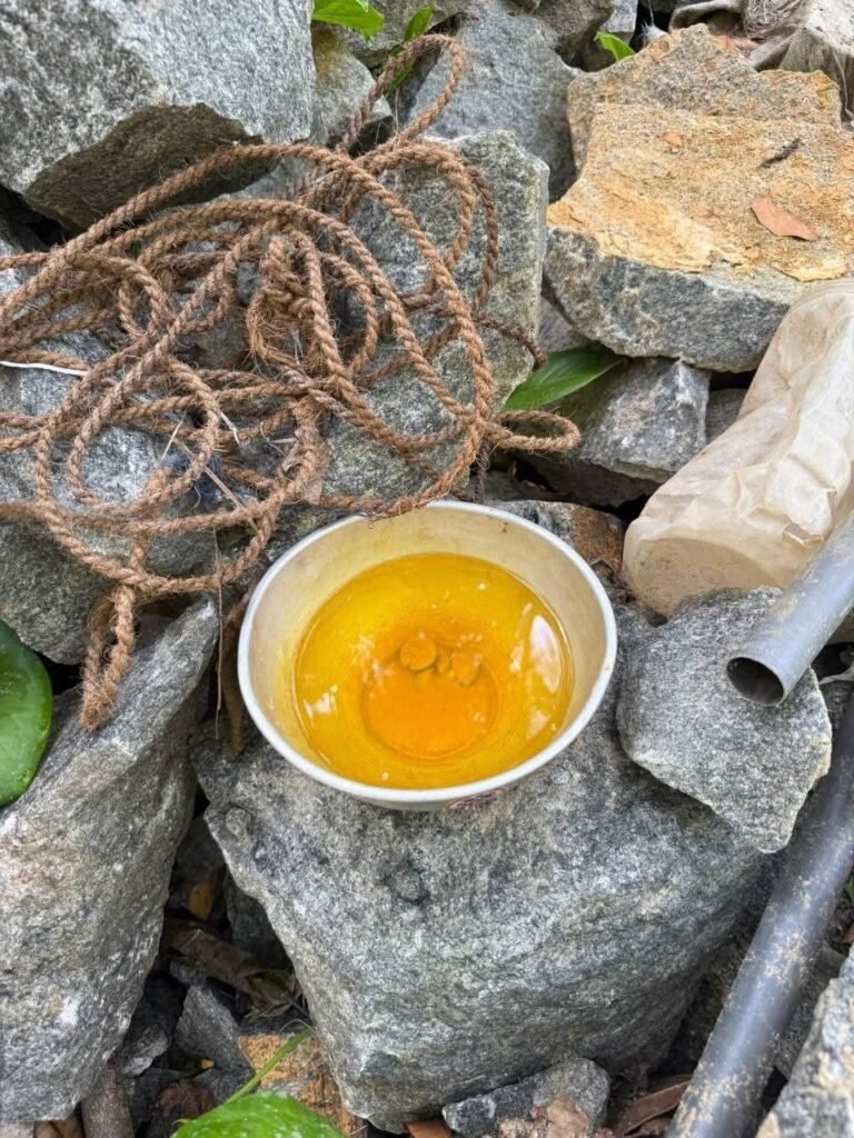 FB_IMG_1760599661899