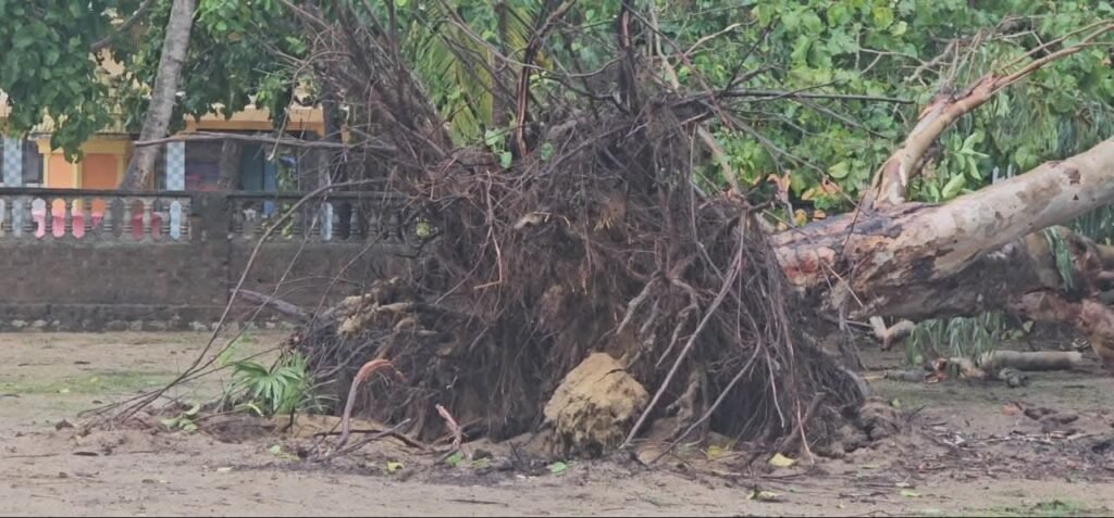 FB_IMG_1761309863983