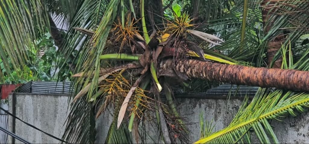 FB_IMG_1761309866128