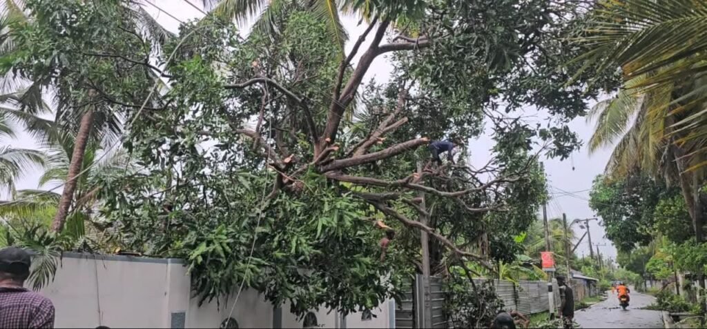 FB_IMG_1761309868636