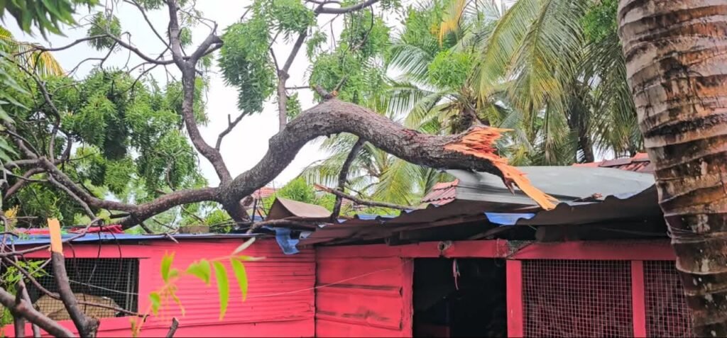 FB_IMG_1761309880862