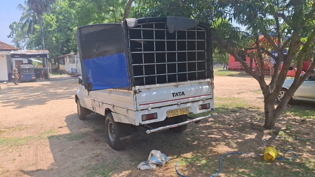 FB_IMG_1762073654532