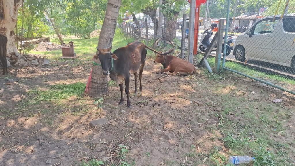 FB_IMG_1762073659568