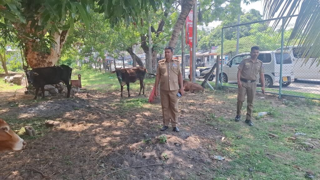 FB_IMG_1762073663985