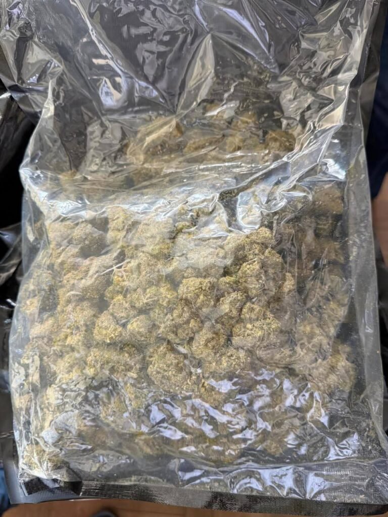 FB_IMG_1763447463958