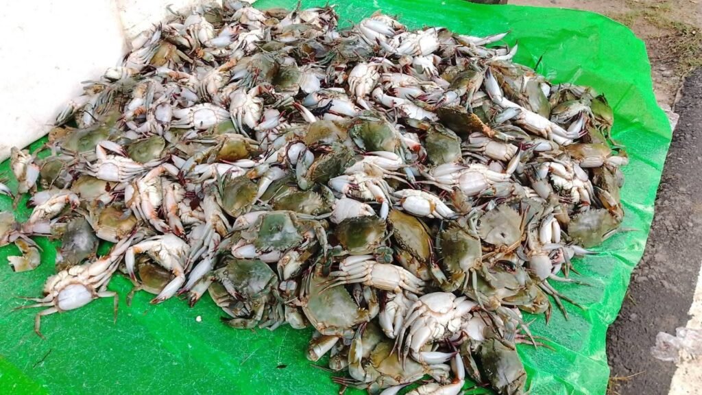 FB_IMG_1763644812375