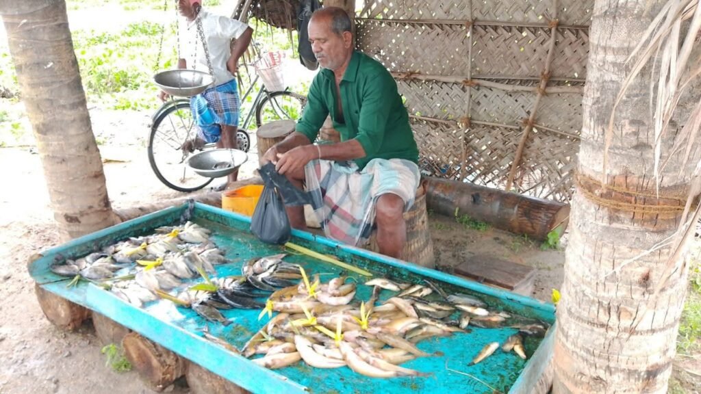 FB_IMG_1763644813779