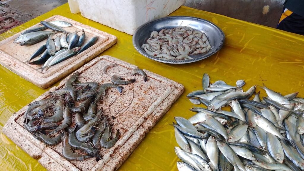 FB_IMG_1763644818297