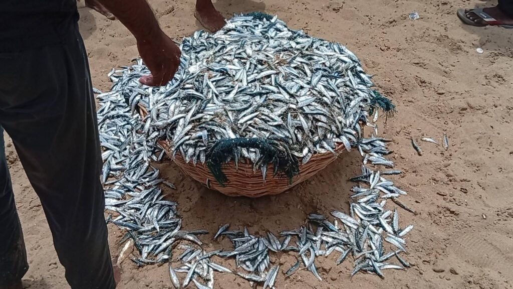 FB_IMG_1763644819990