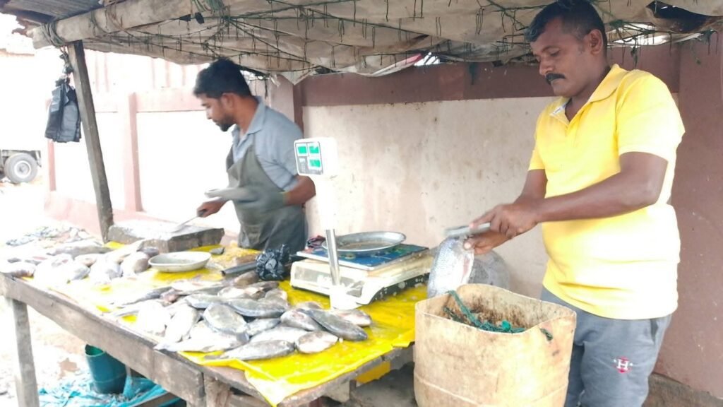 FB_IMG_1763644821727