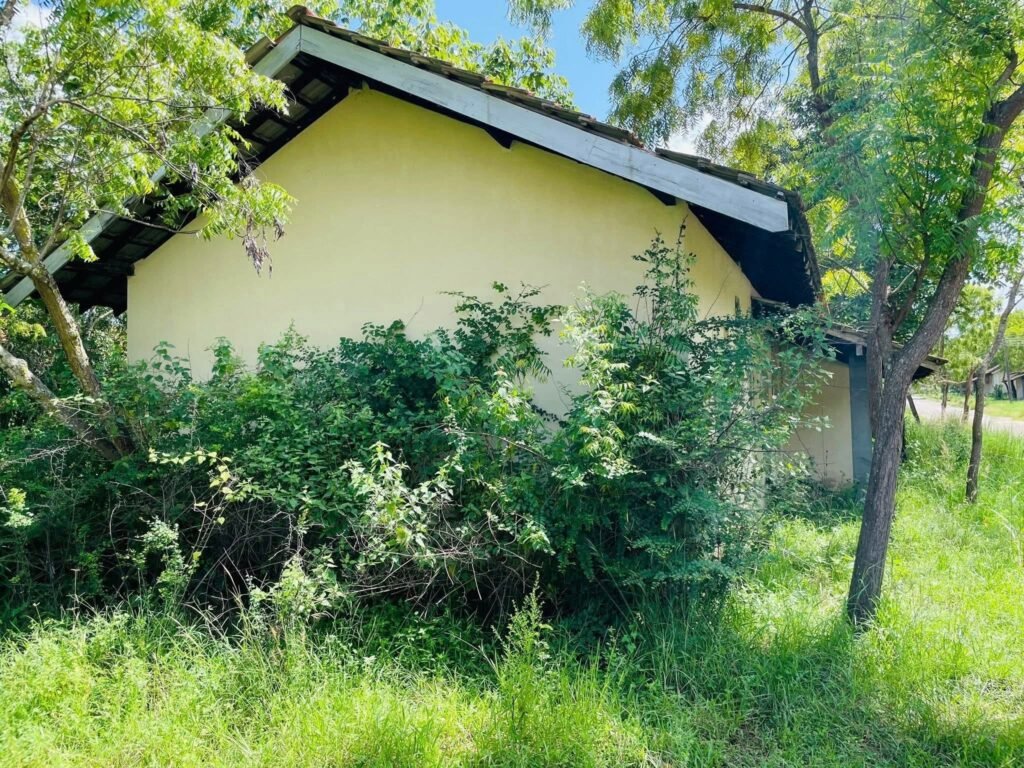 FB_IMG_1766647048298