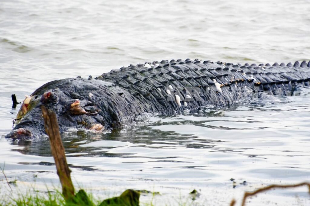 FB_IMG_1766820144467