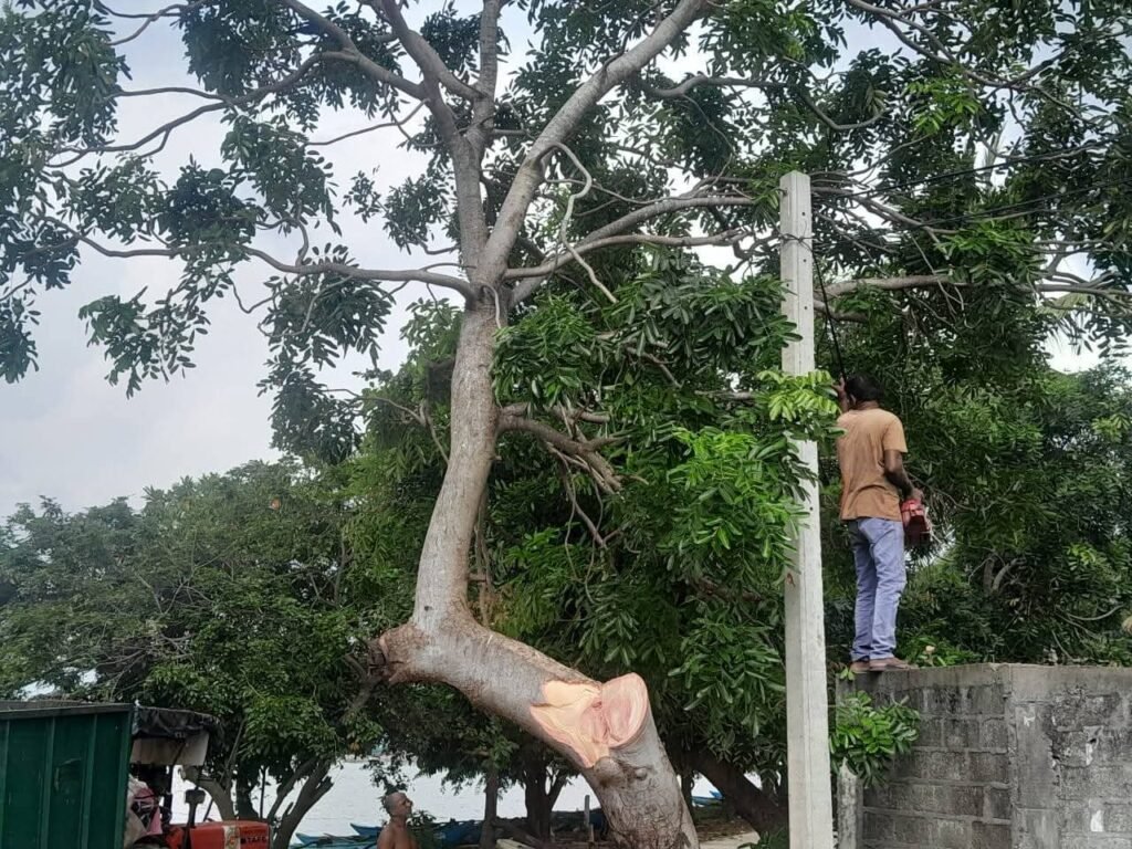 FB_IMG_1766821473562