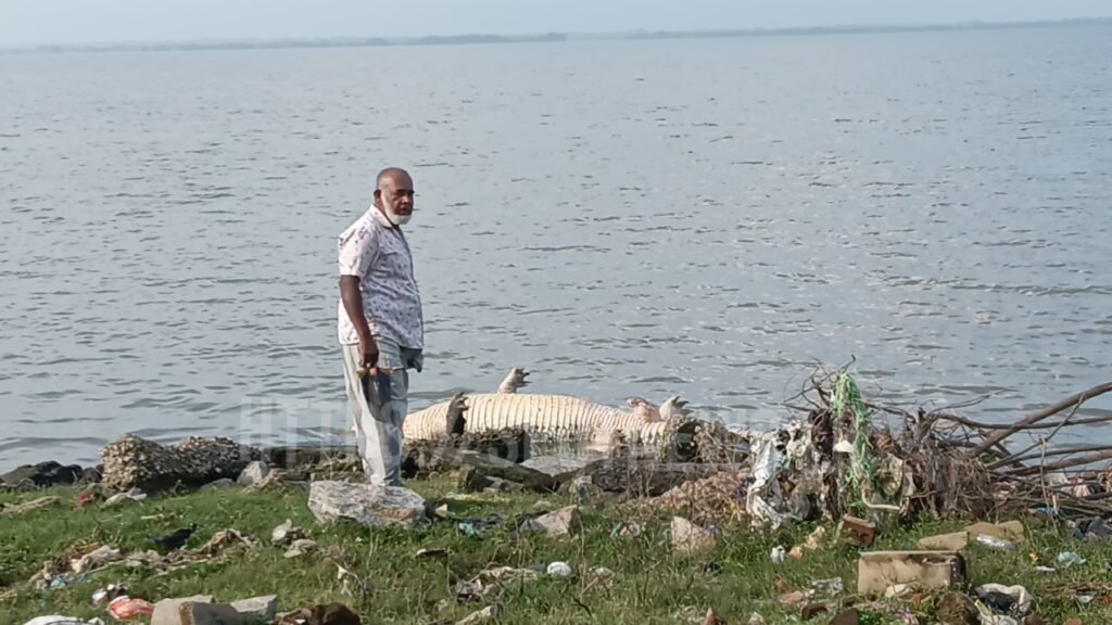 13_image_13_watermark_வியா_15012026_084759