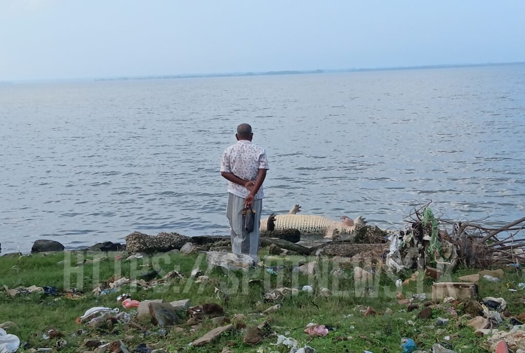 16_image_16_watermark_வியா_15012026_084801