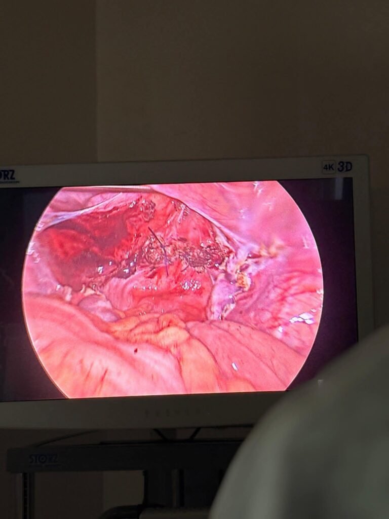 FB_IMG_1769433303707