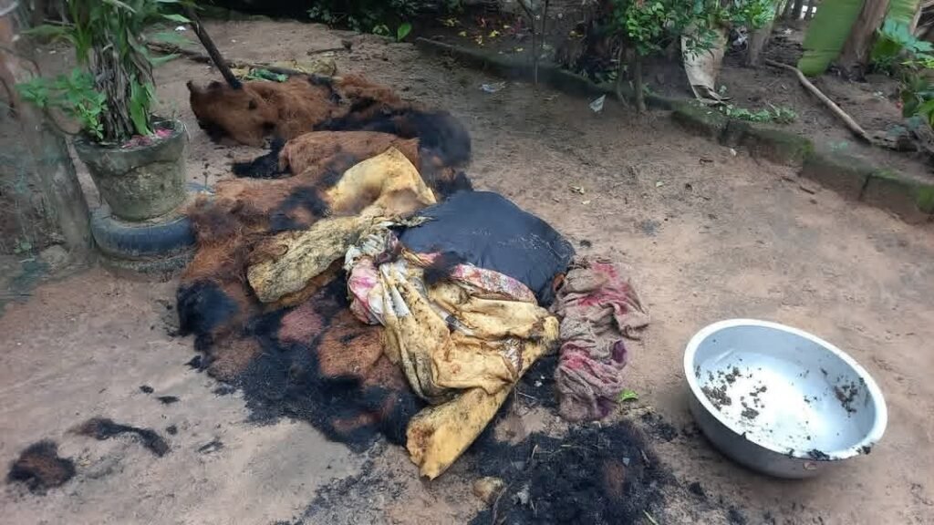 FB_IMG_1771058930090