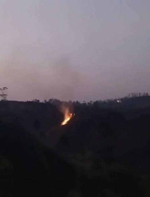 FB_IMG_1772088874879