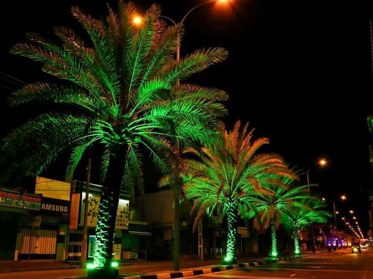 IMG-20260224-WA0073