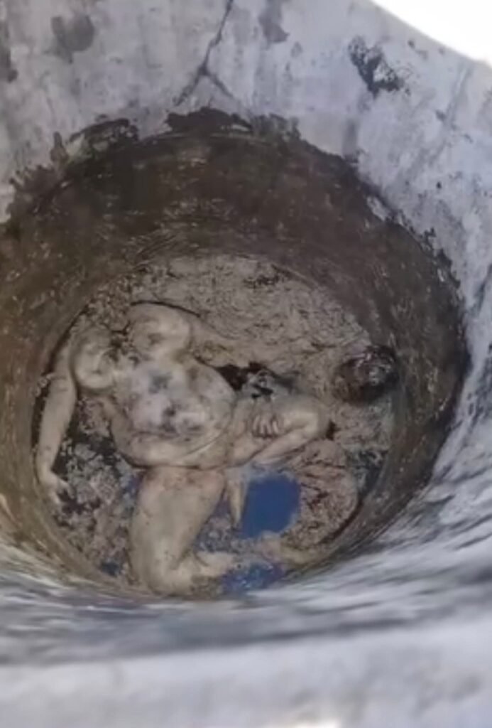 FB_IMG_1774009321628