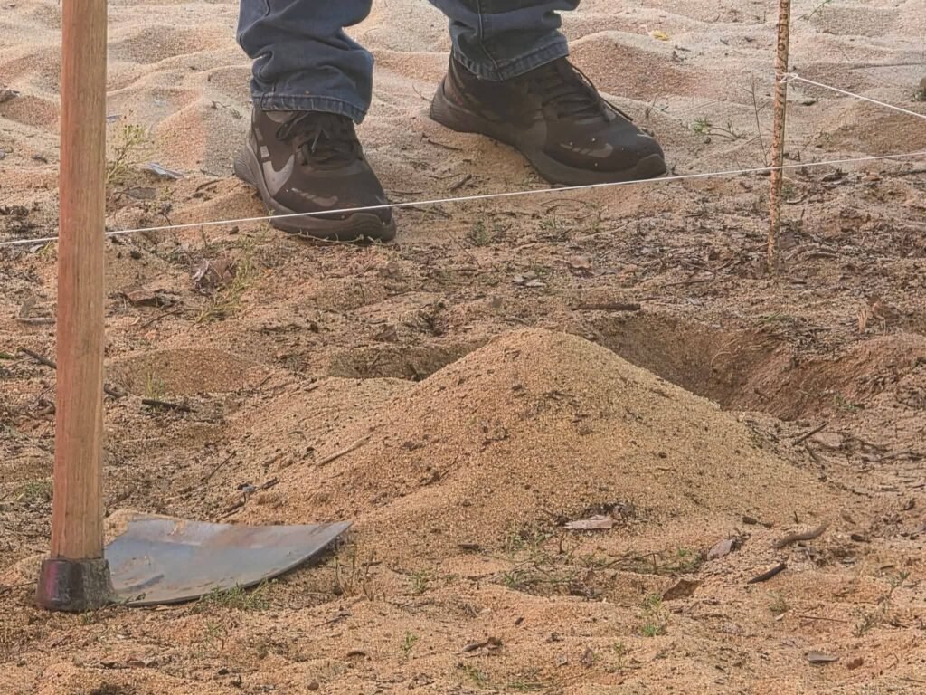 FB_IMG_1774858780153