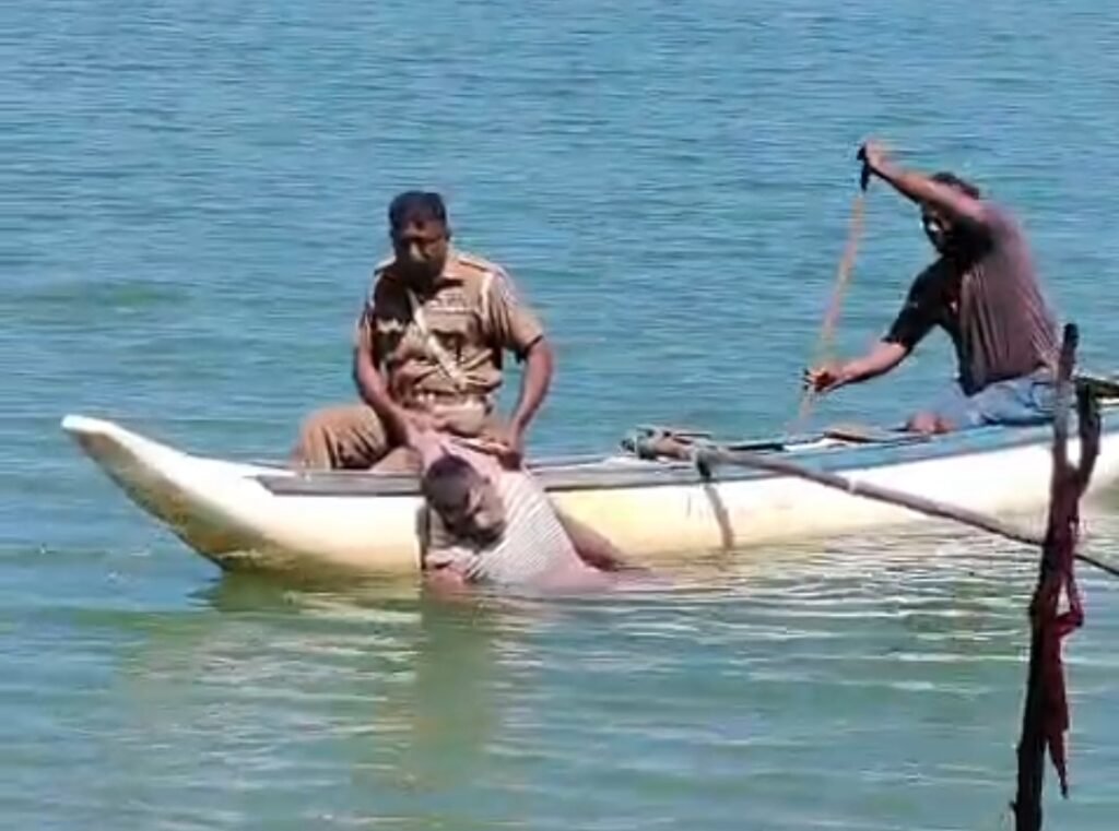 Screenshot_20260326_173826_Gallery