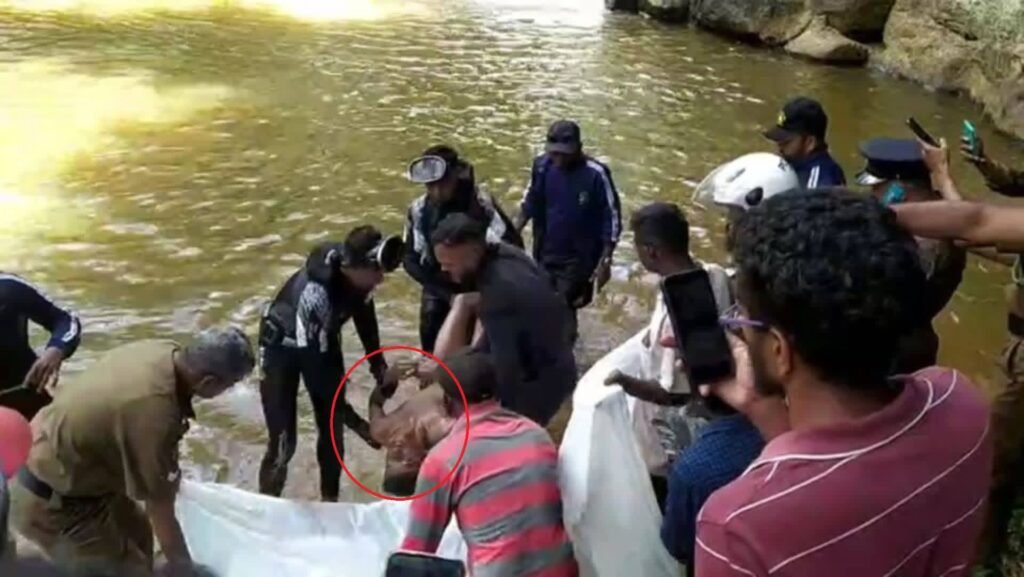 FB_IMG_1775388551195