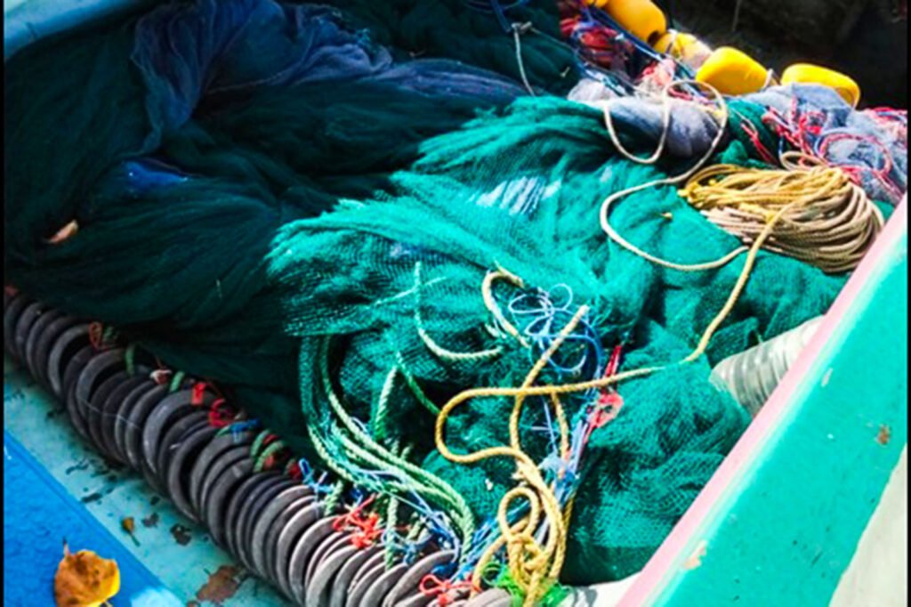 IMG-20260504-WA0042
