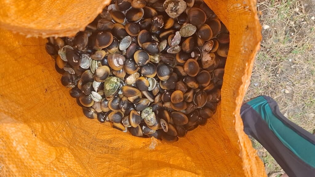 IMG-20260714-WA0016