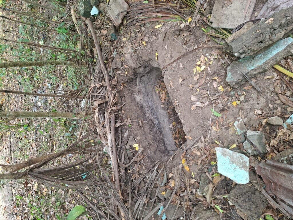 IMG-20260805-WA0052