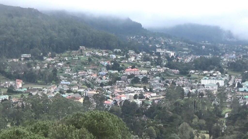 eagle-views2