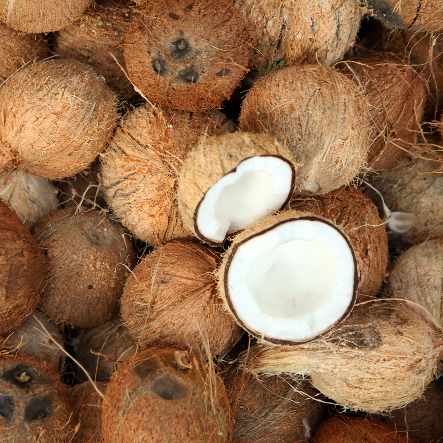 coconut_pile