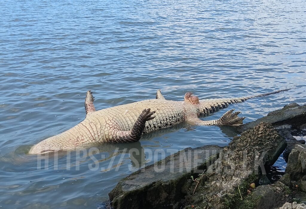 2_image_2_watermark_வியா_15012026_084752