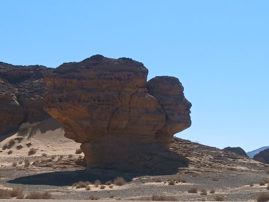 IMG-20260121-WA0017