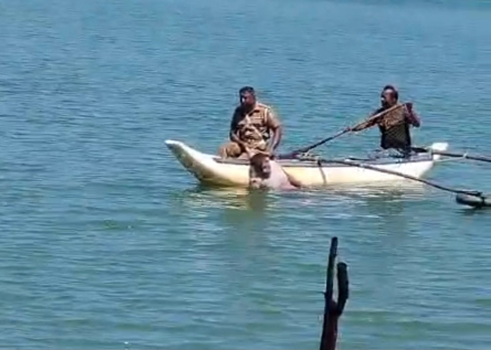 Screenshot_20260326_173807_Gallery