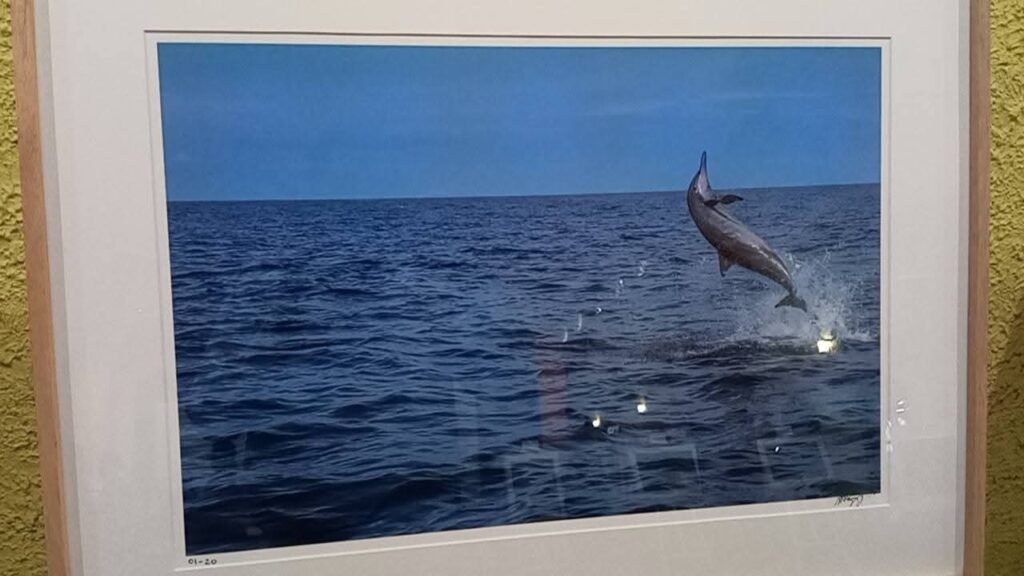 IMG-20260402-WA0037