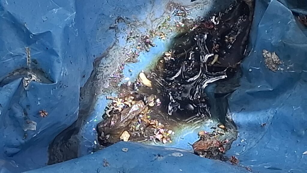 IMG-20260914-WA0026